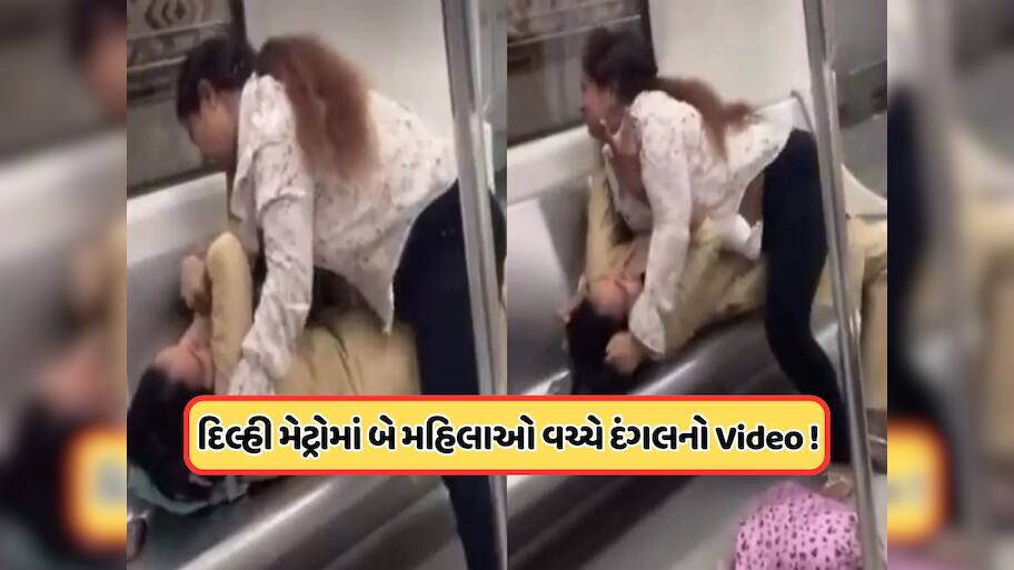 દિલ્હી મેટ્રોમાં WWE! સીટને લઈને બે મહિલાઓએ કર્યો ઝઘડો, એવી બાજી કે રેસલરોને પણ શરમ આવે, જુઓ Video