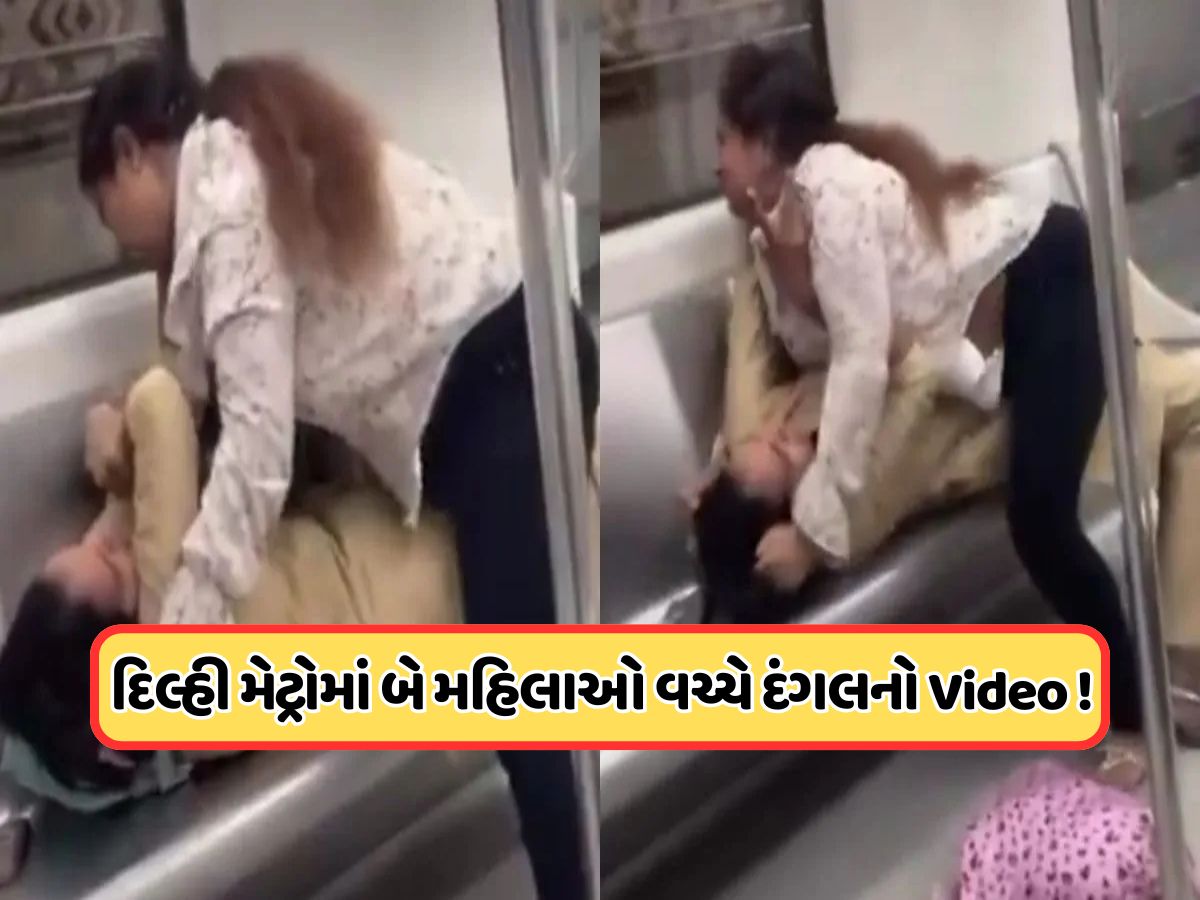 દિલ્હી મેટ્રોમાં WWE! સીટને લઈને બે મહિલાઓએ કર્યો ઝઘડો, એવી બાજી કે રેસલરોને પણ શરમ આવે, જુઓ Video દિલ્હી મેટ્રોમાં WWE! સીટને લઈને બે મહિલાઓએ કર્યો ઝઘડો, એવી બાજી કે રેસલરોને પણ શરમ આવે, જુઓ Video