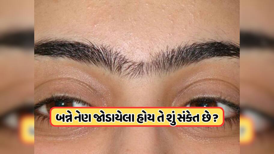 આઈબ્રો એકબીજા સાથે જોડાયેલી હોય તો તે શુભ છે કે અશુભ? જાણો કેવા હોય છે આ લોકો અને શું આપે છે સંકેત