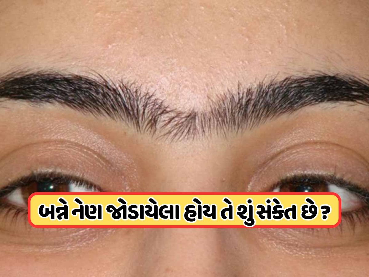 આઈબ્રો એકબીજા સાથે જોડાયેલી હોય તો તે શુભ છે કે અશુભ? જાણો કેવા હોય છે આ લોકો અને શું આપે છે સંકેત આઈબ્રો એકબીજા સાથે જોડાયેલી હોય તો તે શુભ છે કે અશુભ? જાણો કેવા હોય છે આ લોકો અને શું આપે છે સંકેત