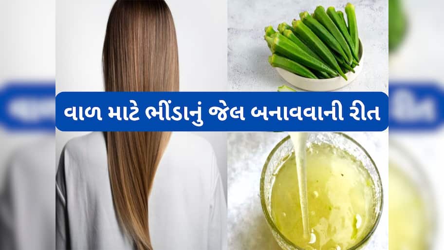 Hair Gel: ભીંડાના પાણીથી વધશે વાળનો ગ્રોથ, જાણો પાણી કેવી રીતે તૈયાર કરવું અને કેવી રીતે લગાડવું ?
