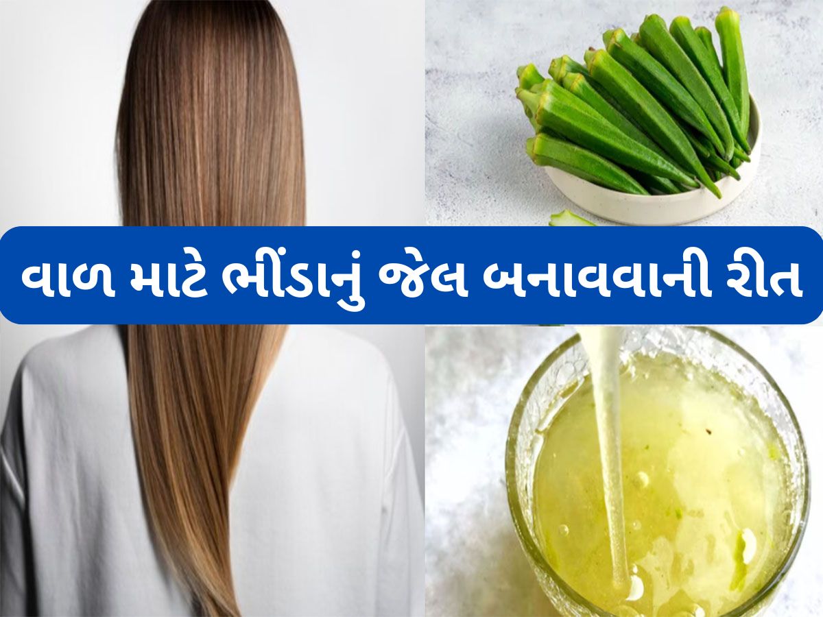 Hair Gel: ભીંડાના પાણીથી વધશે વાળનો ગ્રોથ, જાણો પાણી કેવી રીતે તૈયાર કરવું અને કેવી રીતે લગાડવું ? Hair Gel: ભીંડાના પાણીથી વધશે વાળનો ગ્રોથ, જાણો પાણી કેવી રીતે તૈયાર કરવું અને કેવી રીતે લગાડવું ?