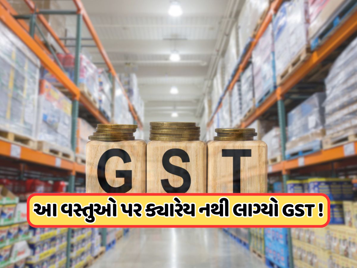આજ સુધી આ વસ્તુઓ પર કેમ લગાવવામાં નથી આવ્યો GST ? જુઓ સંપૂર્ણ લિસ્ટ આજ સુધી આ વસ્તુઓ પર કેમ લગાવવામાં નથી આવ્યો GST ? જુઓ સંપૂર્ણ લિસ્ટ