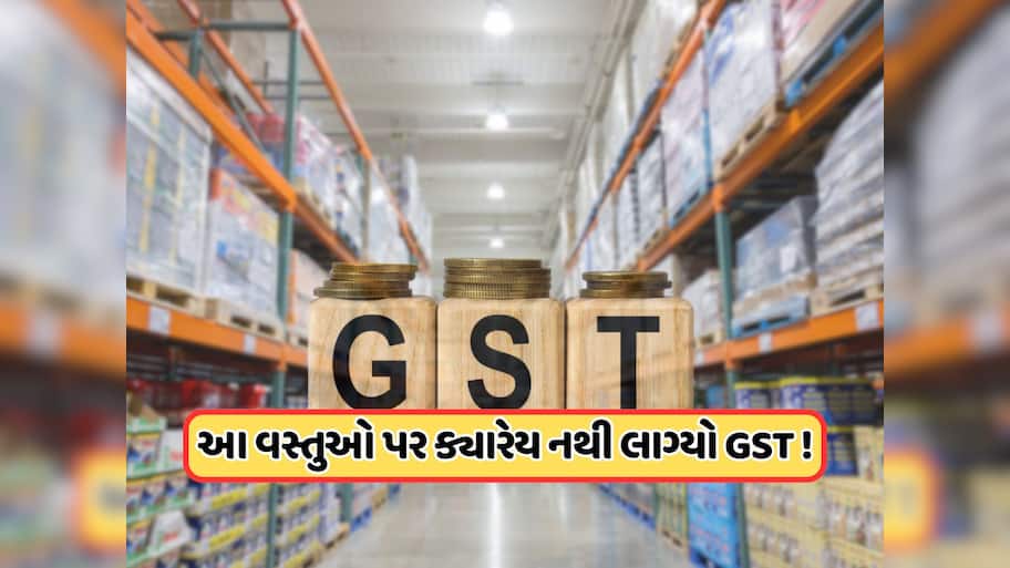 આજ સુધી આ વસ્તુઓ પર કેમ લગાવવામાં નથી આવ્યો GST ? જુઓ સંપૂર્ણ લિસ્ટ