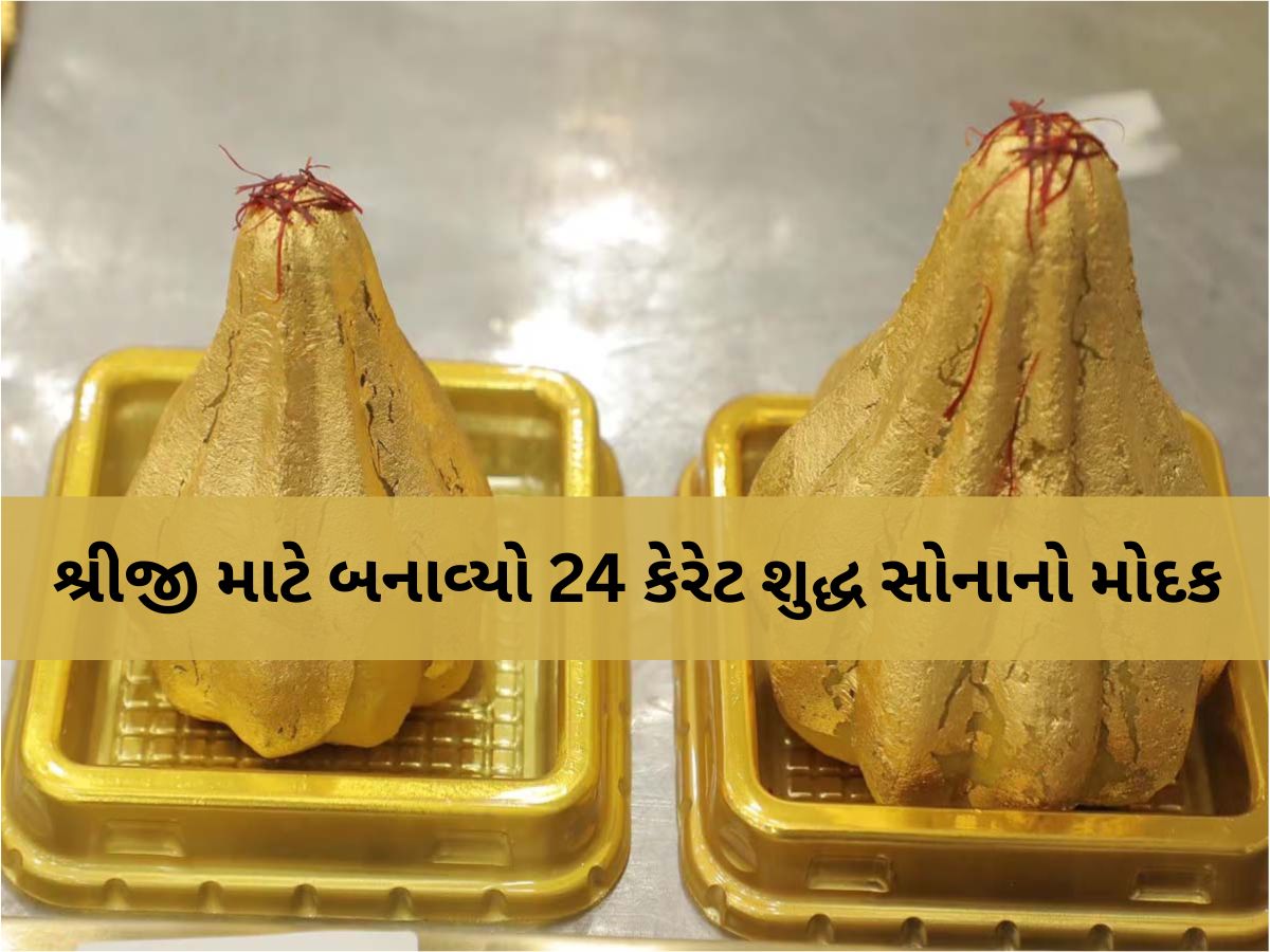 સોનાના ભાવ હાઈ વચ્ચે રાજકોટમાં 'ગોલ્ડ પ્લેટેડ મોદક' આકર્ષણનું કેન્દ્ર; ભાવ સાંભળીને ઉડી જશે હોંશ! સોનાના ભાવ હાઈ વચ્ચે રાજકોટમાં 'ગોલ્ડ પ્લેટેડ મોદક' આકર્ષણનું કેન્દ્ર; ભાવ સાંભળીને ઉડી જશે હોંશ!