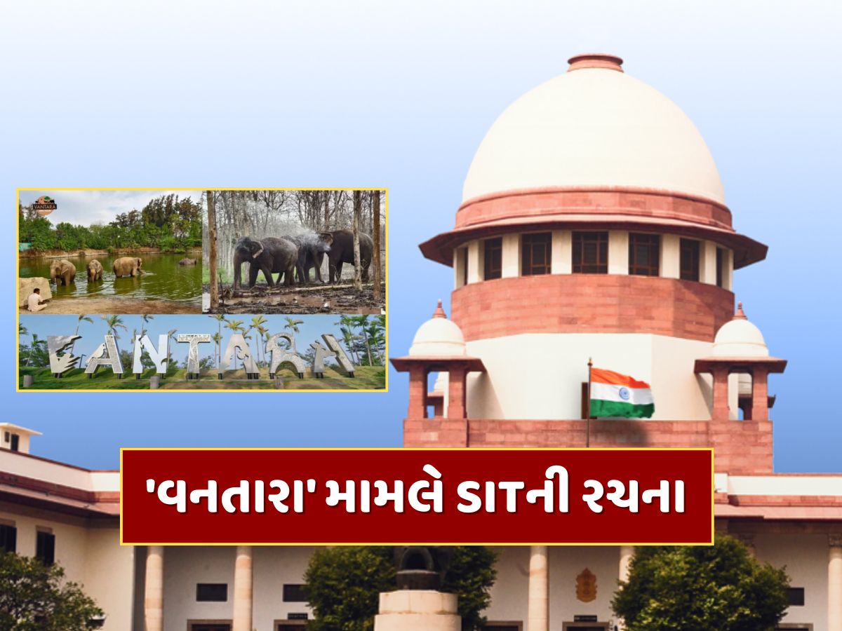 'વનતારા' મામલે સુપ્રીમ કોર્ટ એક્શનમાં, SITની કરી રચના 'વનતારા' મામલે સુપ્રીમ કોર્ટ એક્શનમાં, SITની કરી રચના