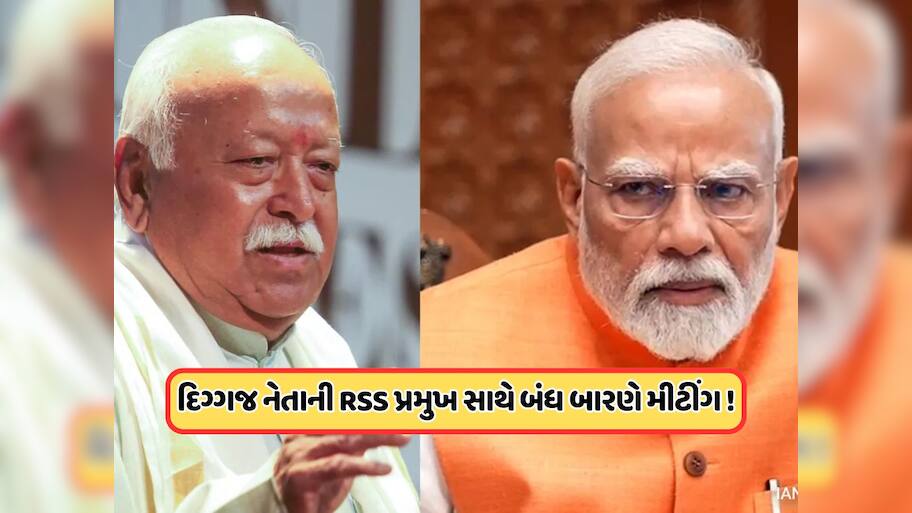 આ ભાજપ નેતાની મોહન ભાગવત સાથે ખાનગી બેઠક, અધ્યક્ષ પદની રેસમાં સૌથી આગળ આવ્યું નામ?