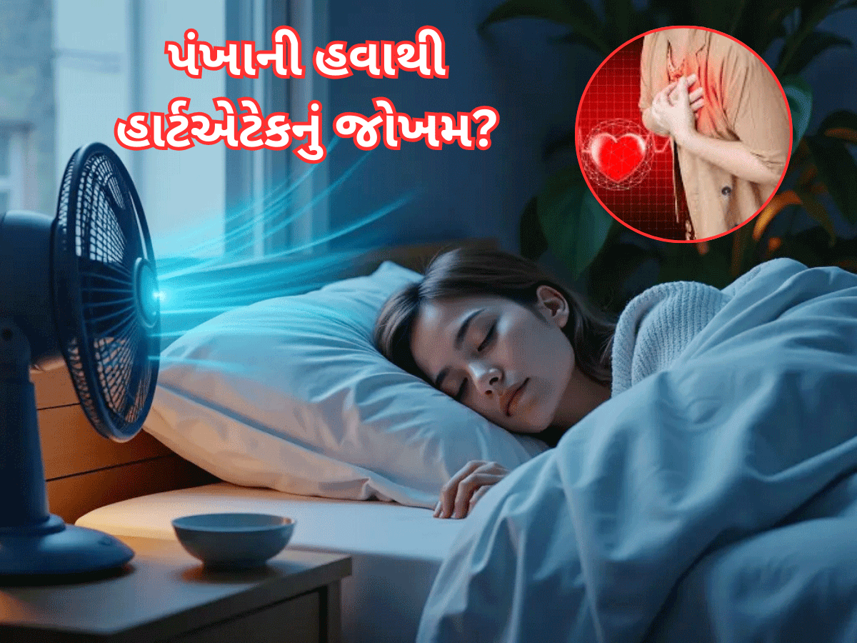 પંખો ચાલુ રાખીને સૂવાથી હાર્ટ એટેકનું જોખમ વધે ખરું? ખાસ જાણો નહીં તો પસ્તાશો પંખો ચાલુ રાખીને સૂવાથી હાર્ટ એટેકનું જોખમ વધે ખરું? ખાસ જાણો નહીં તો પસ્તાશો