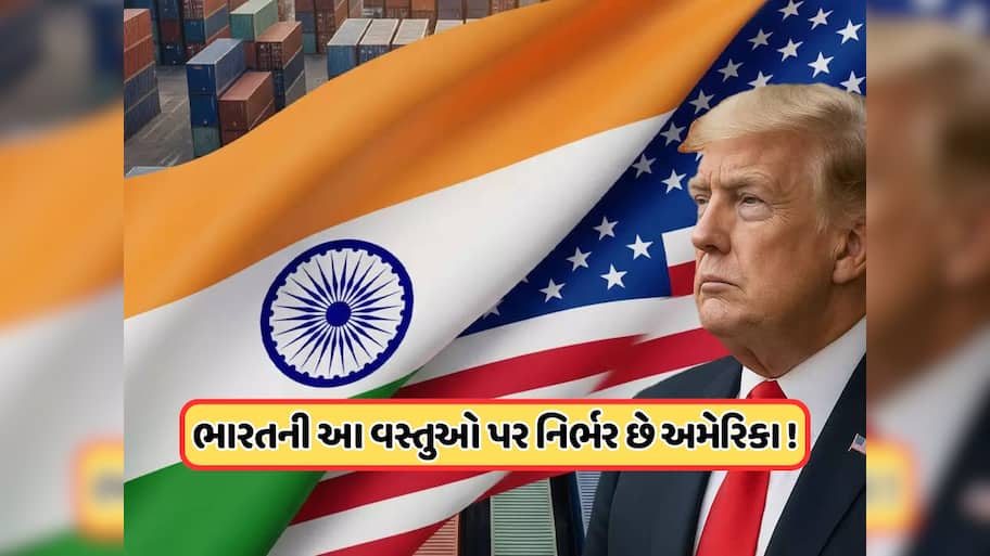ટ્રમ્પે ભારતથી એક્સપોર્ટ થતી આ વસ્તુઓ પર નથી લગાવ્યો એક પણ ટકા ટેક્સ, જાણો અમેરિકાને શેમાં દેખાણો પોતાનો સ્વાર્થ ?