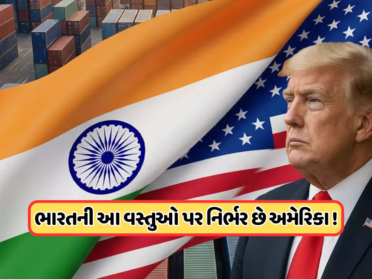 ટ્રમ્પે ભારતથી એક્સપોર્ટ થતી આ વસ્તુઓ પર નથી લગાવ્યો એક પણ ટકા ટેક્સ, જાણો અમેરિકાને શેમાં દેખાણો પોતાનો સ્વાર્થ ? ટ્રમ્પે ભારતથી એક્સપોર્ટ થતી આ વસ્તુઓ પર નથી લગાવ્યો એક પણ ટકા ટેક્સ, જાણો અમેરિકાને શેમાં દેખાણો પોતાનો સ્વાર્થ ?