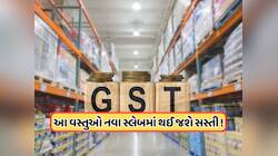આ વસ્તુઓ આવી જશે 5% GST હેઠળ ! આવતા અઠવાડિયે સરકાર લઈ શકે છે મોટો નિર્ણય