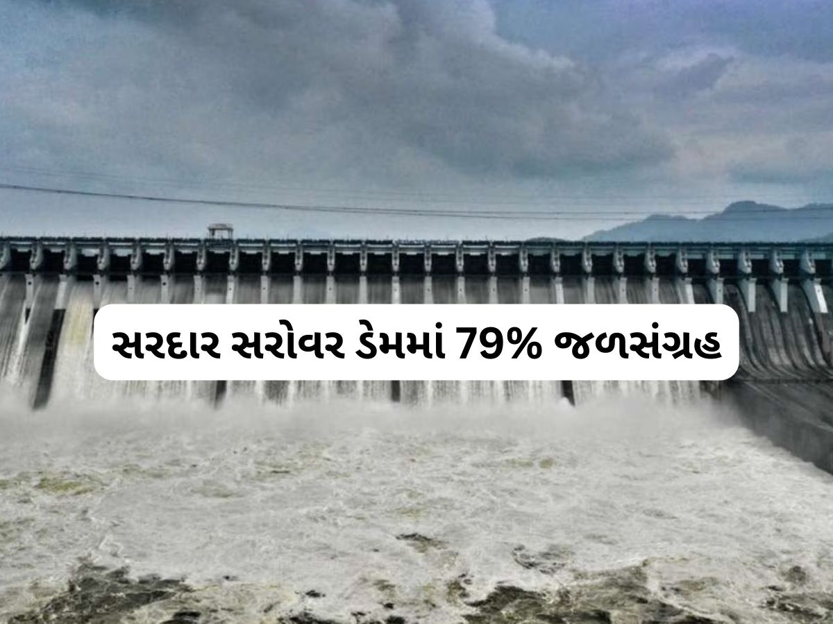 રાજ્યમાં અત્યાર સુધી 85% વરસાદ, 100 ડેમ હાઈએલર્ટ અને 25 ડેમ એલર્ટ પર રાજ્યમાં અત્યાર સુધી 85% વરસાદ, 100 ડેમ હાઈએલર્ટ અને 25 ડેમ એલર્ટ પર