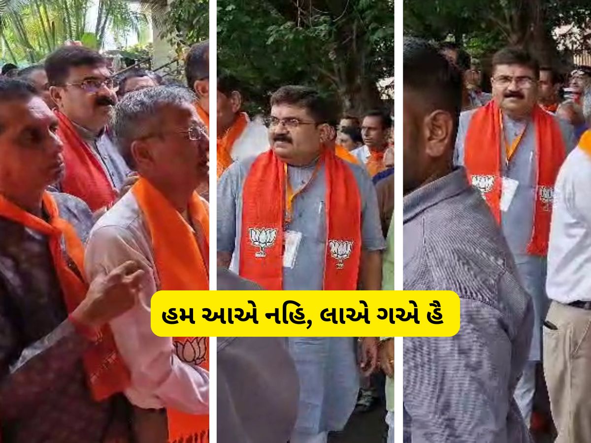 ગોપાલ ઈટાલિયા ઈફેક્ટ : આમ આદમી પાર્ટી ખેલ ન બગાડે તે પૂર્વે ભાજપ એકશનમાં આવ્યું, આ નેતાને કર્યા એક્ટિવ ગોપાલ ઈટાલિયા ઈફેક્ટ : આમ આદમી પાર્ટી ખેલ ન બગાડે તે પૂર્વે ભાજપ એકશનમાં આવ્યું, આ નેતાને કર્યા એક્ટિવ