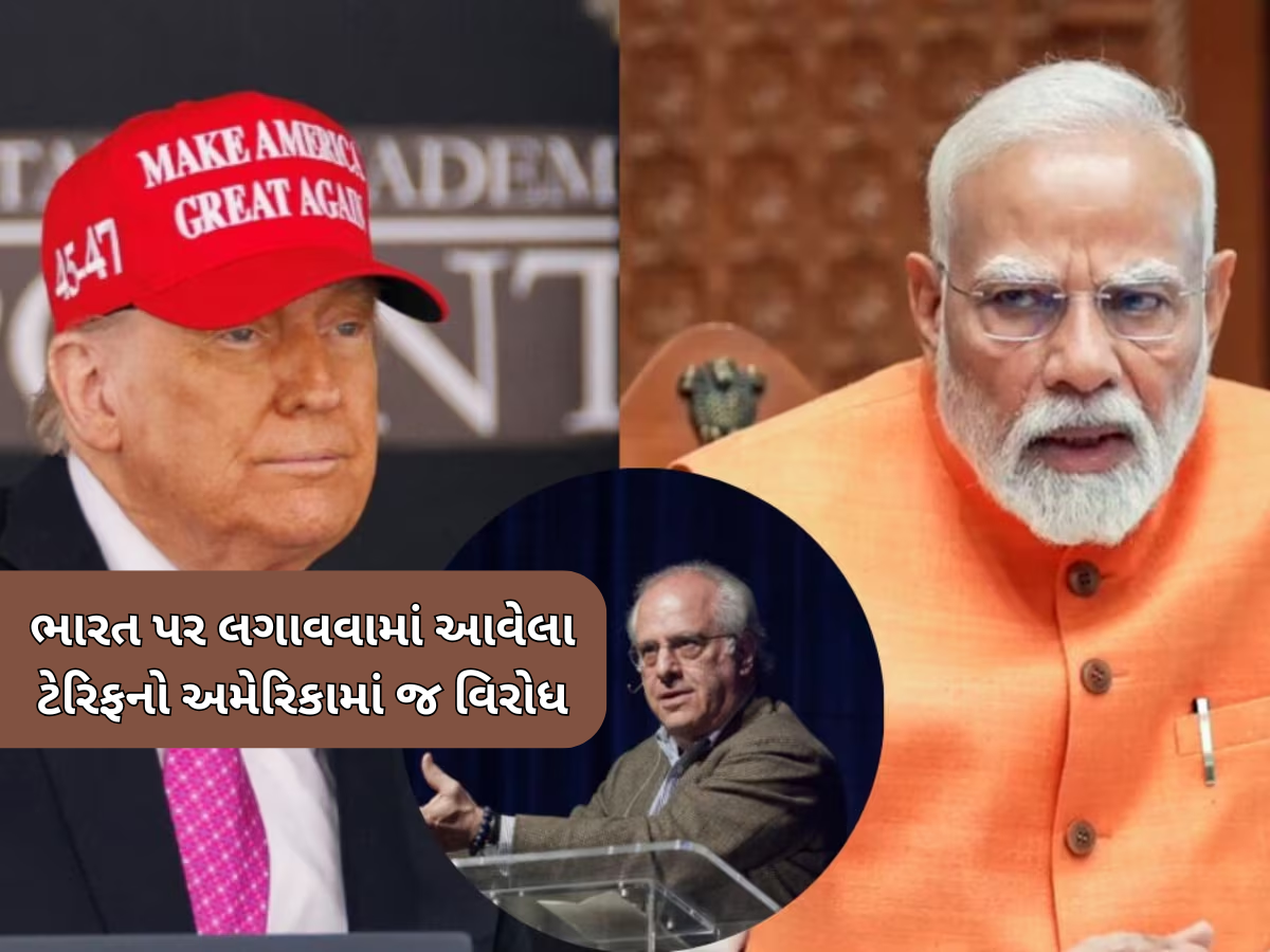 'ઉંદરનું હાથીને મુક્કો મારવા જેવું...' ભારત પર ટ્રમ્પ ટેરિફને US અર્થશાસ્ત્રીએ ગણાવ્યો આત્મઘાતી 'ઉંદરનું હાથીને મુક્કો મારવા જેવું...' ભારત પર ટ્રમ્પ ટેરિફને US અર્થશાસ્ત્રીએ ગણાવ્યો આત્મઘાતી