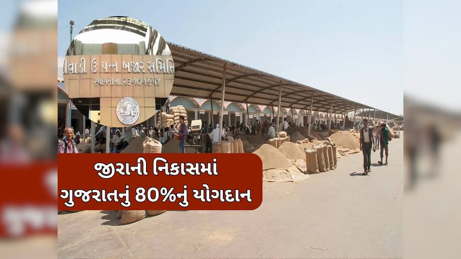 ગુજરાતનું વૈશ્વિક નેતૃત્વ બન્યું મજબૂત, દુનિયાના 101 દેશોમાં ₹3995 કરોડના જીરાની નિકાસ