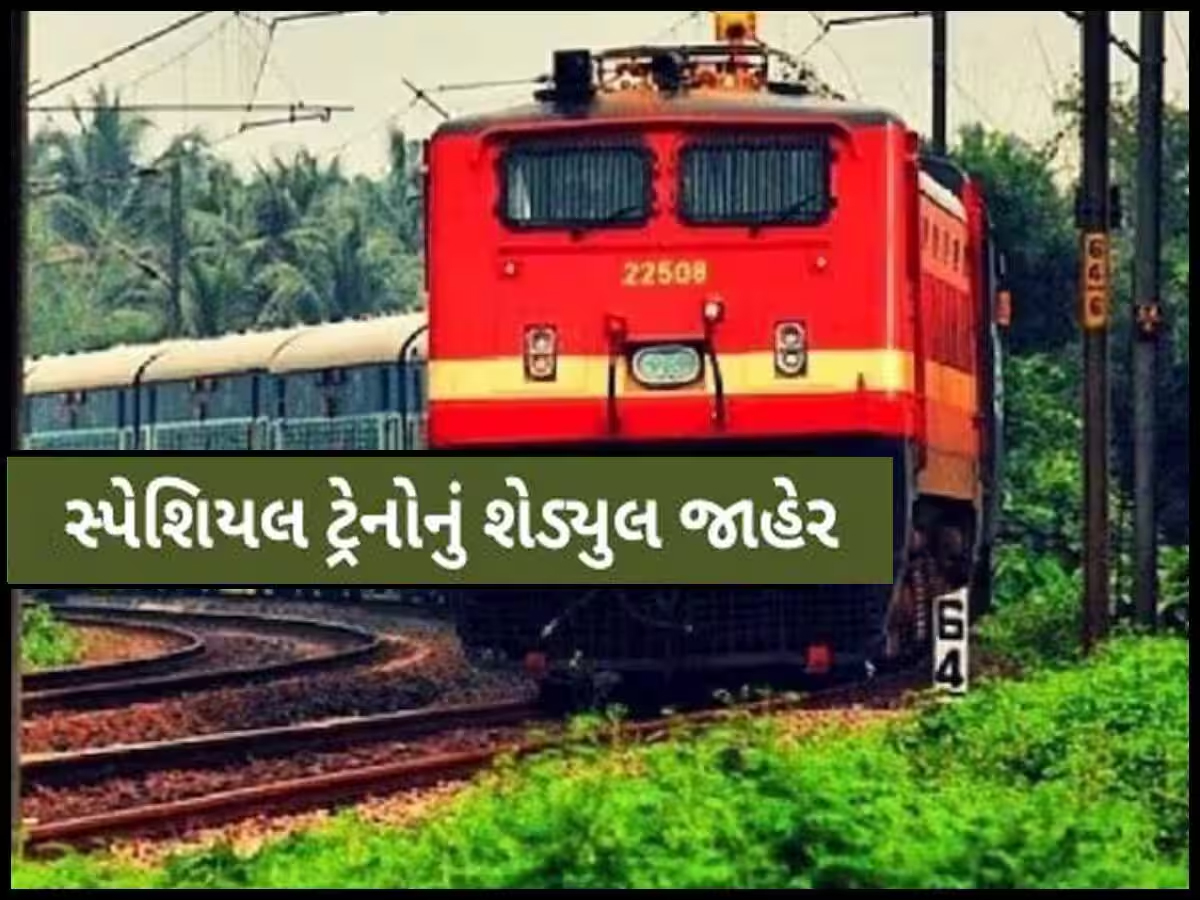 રેલવેની મોટી ભેટ! પૂજા સ્પેશિયલ ટ્રેનોથી મુસાફરી બનશે સરળ, 2024 વધારાની ટ્રિપ્સ માટે સૂચના જારી રેલવેની મોટી ભેટ! પૂજા સ્પેશિયલ ટ્રેનોથી મુસાફરી બનશે સરળ, 2024 વધારાની ટ્રિપ્સ માટે સૂચના જારી