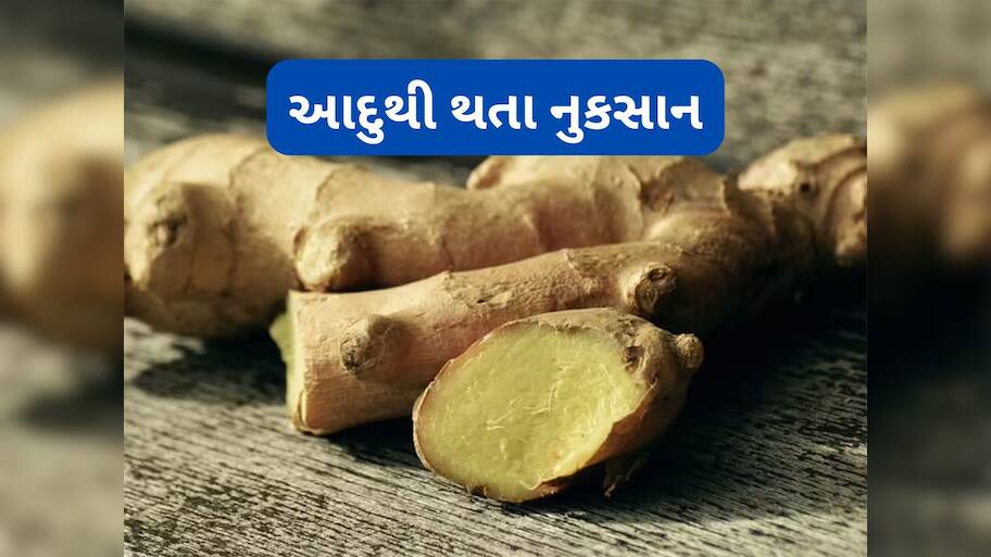 Ginger: આદુ ખાવાના ફાયદા જ નહીં નુકસાન પણ છે, રોજ આદુ ખાવાથી થઈ શકે છે આ ગંભીર સમસ્યાઓ