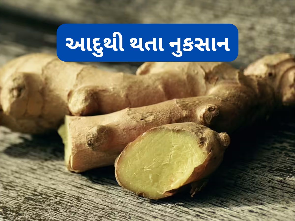 Ginger: આદુ ખાવાના ફાયદા જ નહીં નુકસાન પણ છે, રોજ આદુ ખાવાથી થઈ શકે છે આ ગંભીર સમસ્યાઓ Ginger: આદુ ખાવાના ફાયદા જ નહીં નુકસાન પણ છે, રોજ આદુ ખાવાથી થઈ શકે છે આ ગંભીર સમસ્યાઓ