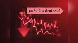  લોકો ધડાધડ વેચવા લાગ્યા આ કંપનીનો શેર, 5 દિવસમાં 32% નો થયો ઘટાડો, જાણો કારણ