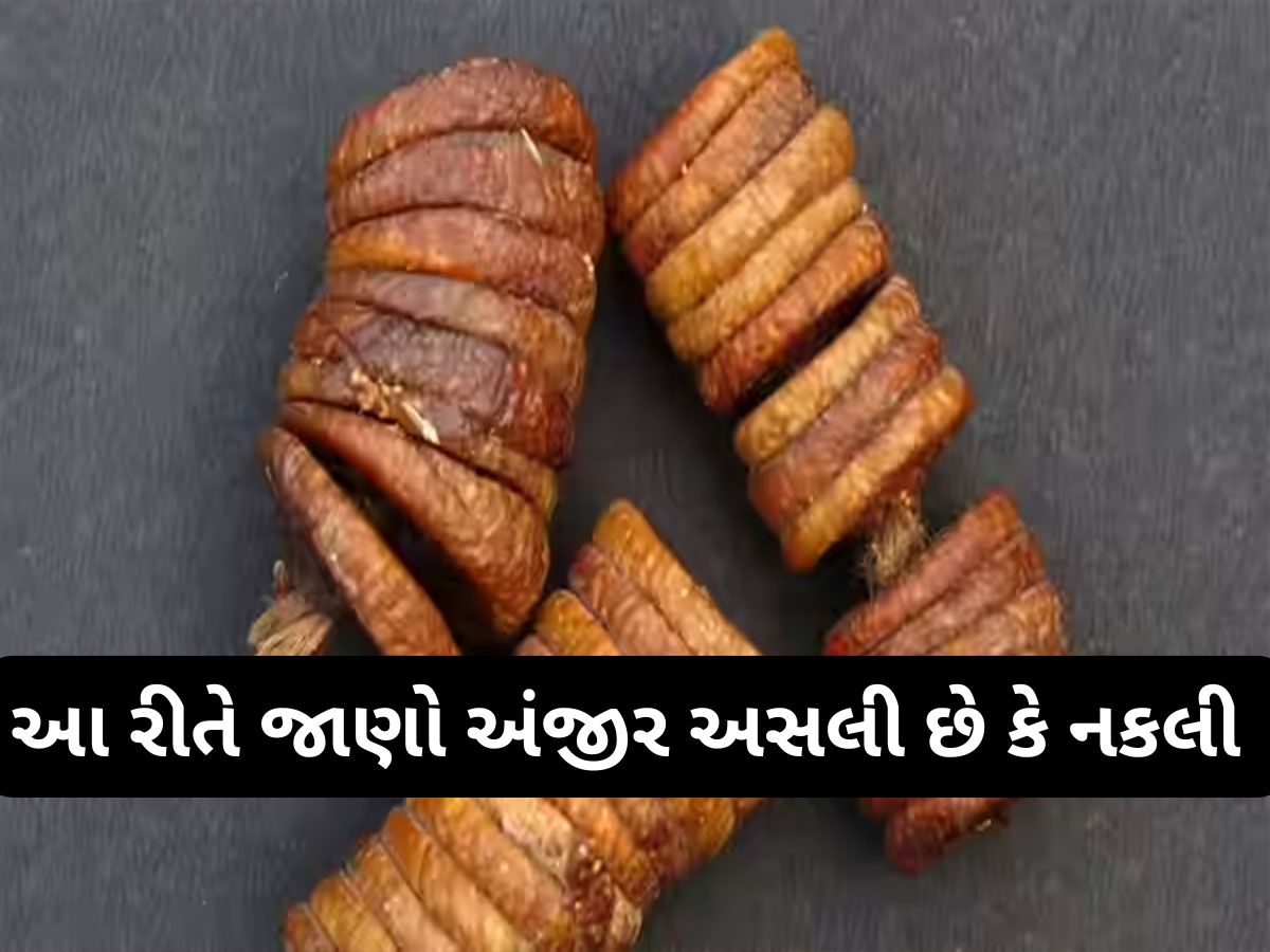 Lifehacks: શરીરને નુકસાન કરી શકે છે નકલી અંજીર, જાણો કેવી રીતે જાણવું અંજીર અસલી છે કે નકલી ? Lifehacks: શરીરને નુકસાન કરી શકે છે નકલી અંજીર, જાણો કેવી રીતે જાણવું અંજીર અસલી છે કે નકલી ?