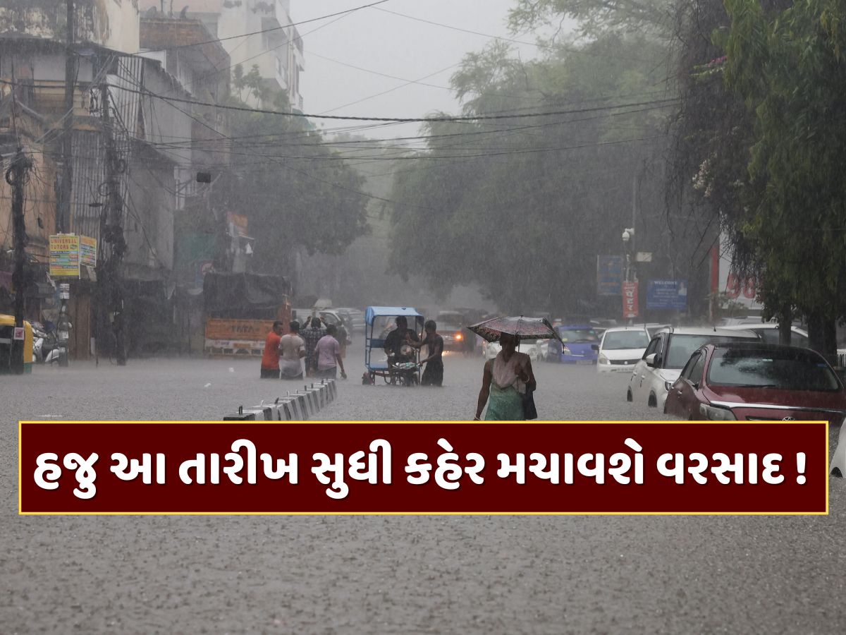 IMD Rain Alert : શાળા-કોલેજો બંધ, 32 જિલ્લામાં યલો એલર્ટ...આ તારીખ સુધી ભારેથી અતિભારે વરસાદની આગાહી IMD Rain Alert : શાળા-કોલેજો બંધ, 32 જિલ્લામાં યલો એલર્ટ...આ તારીખ સુધી ભારેથી અતિભારે વરસાદની આગાહી