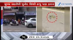 વડોદરામાં ગણેશ મૂર્તિ પર ઈંડા ફેંકવાના મામલે થયો નવો એક ઘટસ્ફોટ! જુઓ VIDEO