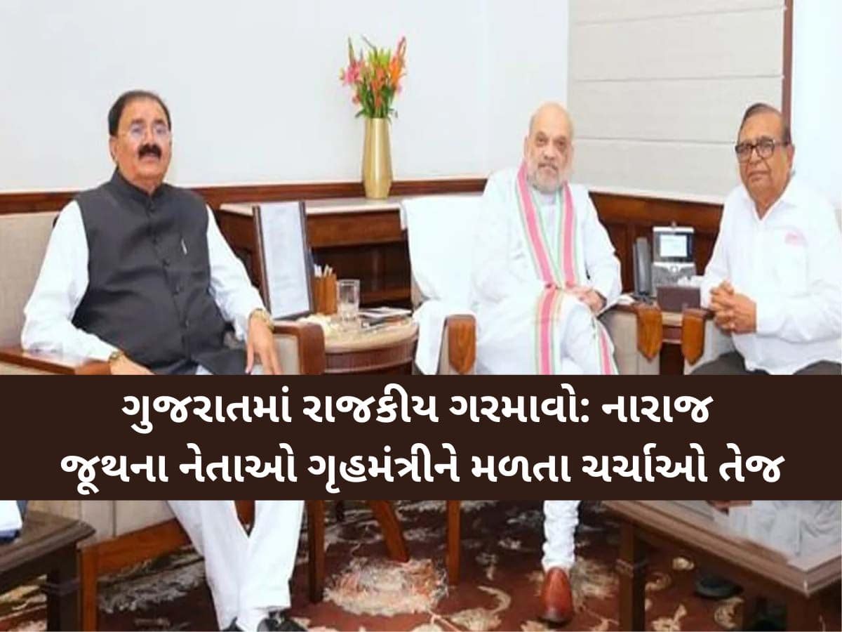 બે પાટીદાર નેતાઓ શાહને દિલ્હીમાં મળતા નવા જૂનીના એંધાણ, ભાજપના અનેક નેતાઓને આંચકો! બે પાટીદાર નેતાઓ શાહને દિલ્હીમાં મળતા નવા જૂનીના એંધાણ, ભાજપના અનેક નેતાઓને આંચકો!