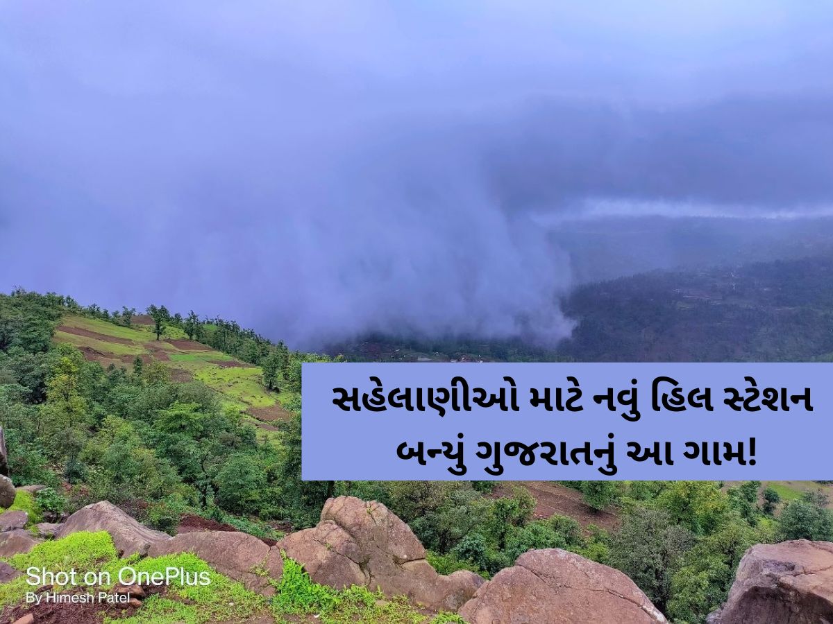 હરિયાળીથી ખીલી ઉઠ્યું કોલવેરા! ગુજરાતમાં આવેલું છે શિમલા-મનાલીના પહાડો જેવી અનુભૂતિ કરાવતું સ્થળ! હરિયાળીથી ખીલી ઉઠ્યું કોલવેરા! ગુજરાતમાં આવેલું છે શિમલા-મનાલીના પહાડો જેવી અનુભૂતિ કરાવતું સ્થળ!