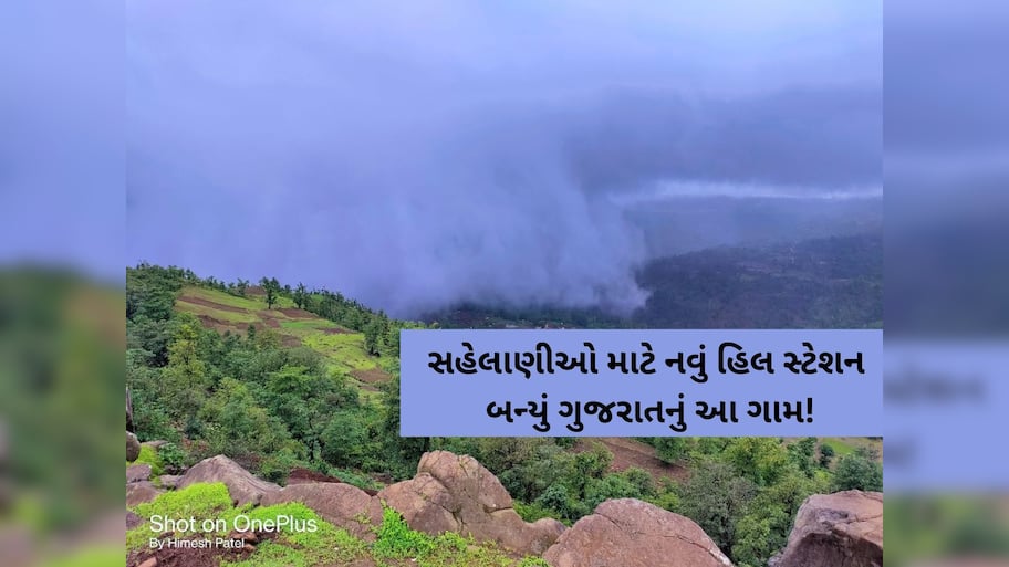 હરિયાળીથી ખીલી ઉઠ્યું કોલવેરા! ગુજરાતમાં આવેલું છે શિમલા-મનાલીના પહાડો જેવી અનુભૂતિ કરાવતું સ્થળ! 