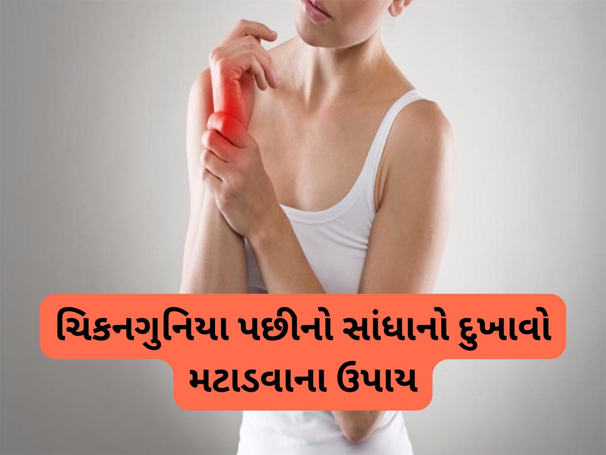 Joint Pain: ચિકનગુનિયા મટી ગયા પછી પણ સાંધા દુખે છે ? તો આ દેશી ઈલાજ આપશે રાહત Joint Pain: ચિકનગુનિયા મટી ગયા પછી પણ સાંધા દુખે છે ? તો આ દેશી ઈલાજ આપશે રાહત