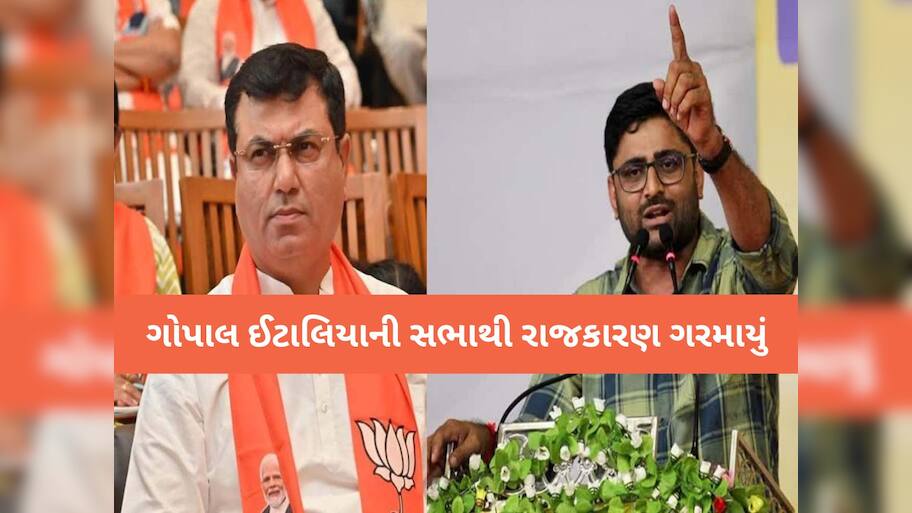 “ભાજપ પણ 2027માં 156 વાળી રિપીટ કરશે”, ઈટાલિયાની 'વિસાવદરવાળી'ના દાવા સામે ઉદય કાનગડનું મોટું નિવેદન