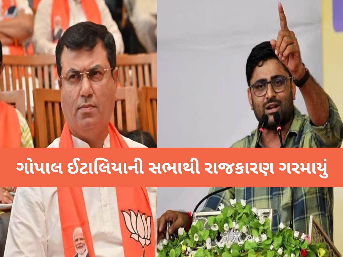 “ભાજપ પણ 2027માં 156 વાળી રિપીટ કરશે”, ઈટાલિયાની 'વિસાવદરવાળી'ના દાવા સામે ઉદય કાનગડનું મોટું નિવેદન “ભાજપ પણ 2027માં 156 વાળી રિપીટ કરશે”, ઈટાલિયાની 'વિસાવદરવાળી'ના દાવા સામે ઉદય કાનગડનું મોટું નિવેદન