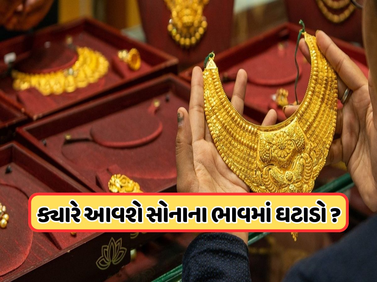 3000 રૂપિયા વધી ગયો સોનાનો ભાવ, ચાંદી ₹1.17 લાખને પાર, જાણો સોનાના ભાવ ઘટશે કે વધશે? 3000 રૂપિયા વધી ગયો સોનાનો ભાવ, ચાંદી ₹1.17 લાખને પાર, જાણો સોનાના ભાવ ઘટશે કે વધશે?