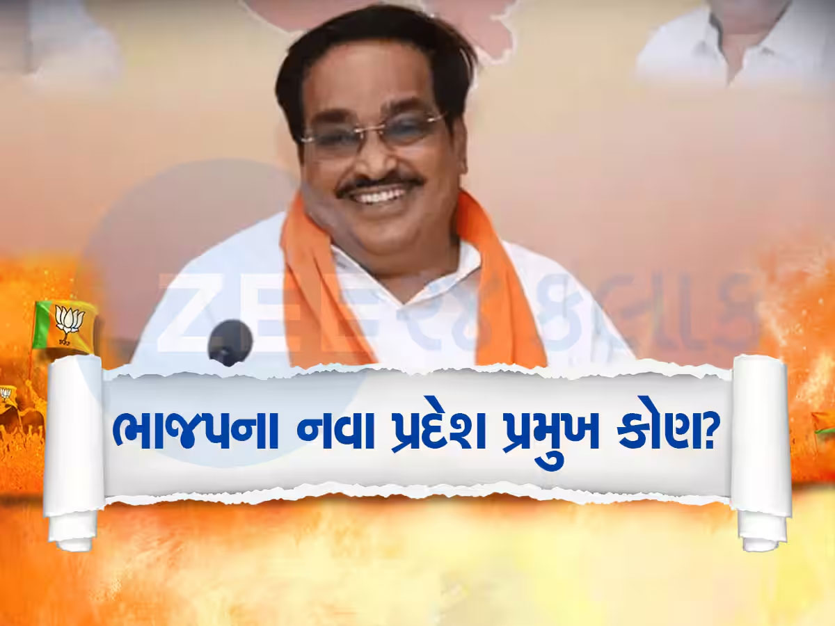 ભાજપમાં નવી આગાહી! સપ્ટેમ્બરની આ તારીખે મળશે નવા પ્રદેશ પ્રમુખ અને મંત્રીમંડળ ભાજપમાં નવી આગાહી! સપ્ટેમ્બરની આ તારીખે મળશે નવા પ્રદેશ પ્રમુખ અને મંત્રીમંડળ
