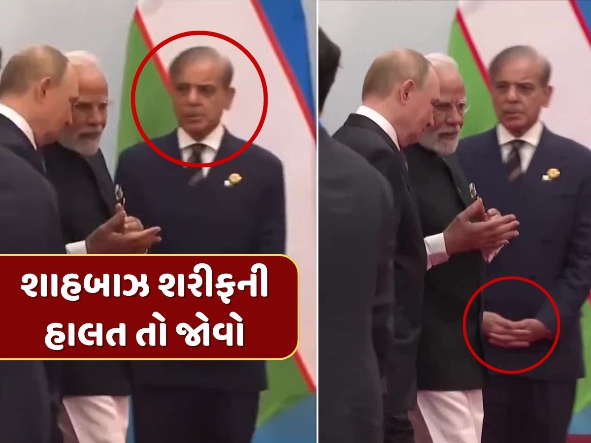 Video : મોદી-પુતિનની 'મિત્રતા' જોઈ પાકિસ્તાની PMની હાલત તો જોવો, એક ખૂણામાં દયનીય સ્થિતિમાં ઊભેલા જોવા મળ્યા Video : મોદી-પુતિનની 'મિત્રતા' જોઈ પાકિસ્તાની PMની હાલત તો જોવો, એક ખૂણામાં દયનીય સ્થિતિમાં ઊભેલા જોવા મળ્યા