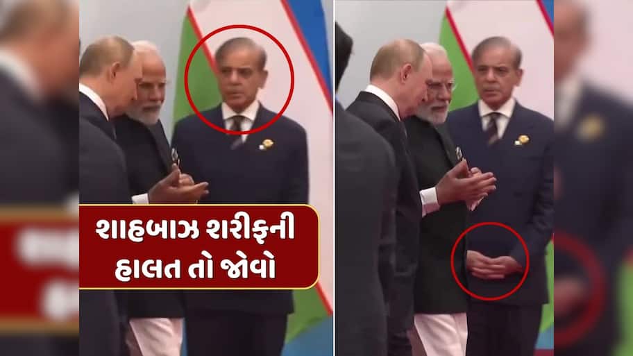 Video : મોદી-પુતિનની 'મિત્રતા' જોઈ પાકિસ્તાની PMની હાલત તો જોવો, એક ખૂણામાં દયનીય સ્થિતિમાં ઊભેલા જોવા મળ્યા