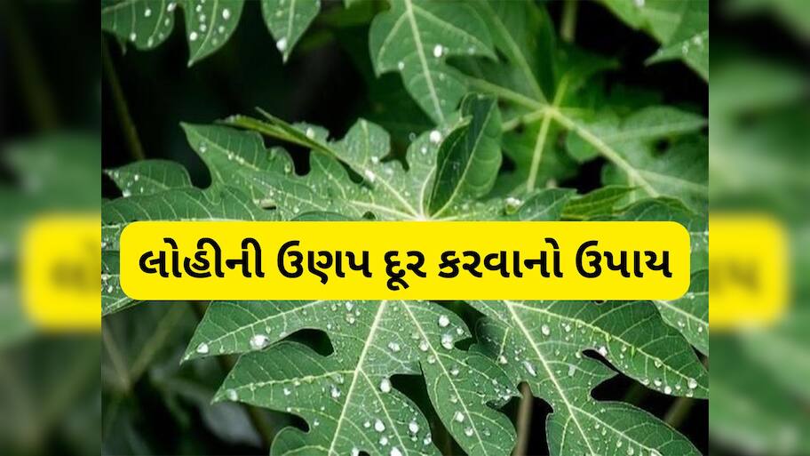 Health Tips: લોહી બનાવવાનું મશીન છે ફ્રીમાં મળતા આ 3 લીલા પાન, થોડા જ દિવસોમાં વધી જશે હિમોગ્લોબીન લેવલ