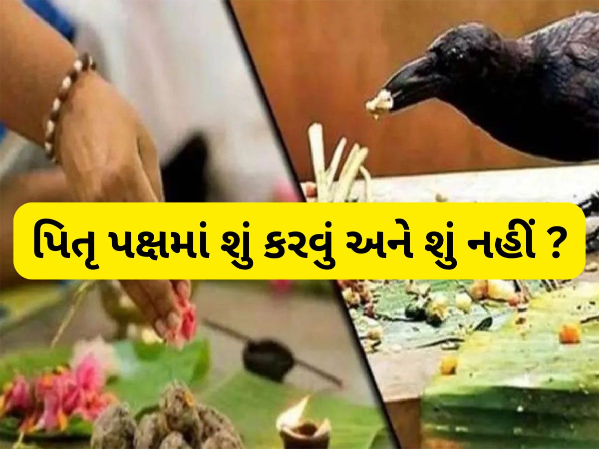 Pitru Paksha 2025: ગણતરીના દિવસોમાં શરુ થશે પિતૃ પક્ષ, જાણો શ્રાદ્ધ પક્ષમાં શું કરવું અને શું નહીં ? Pitru Paksha 2025: ગણતરીના દિવસોમાં શરુ થશે પિતૃ પક્ષ, જાણો શ્રાદ્ધ પક્ષમાં શું કરવું અને શું નહીં ?