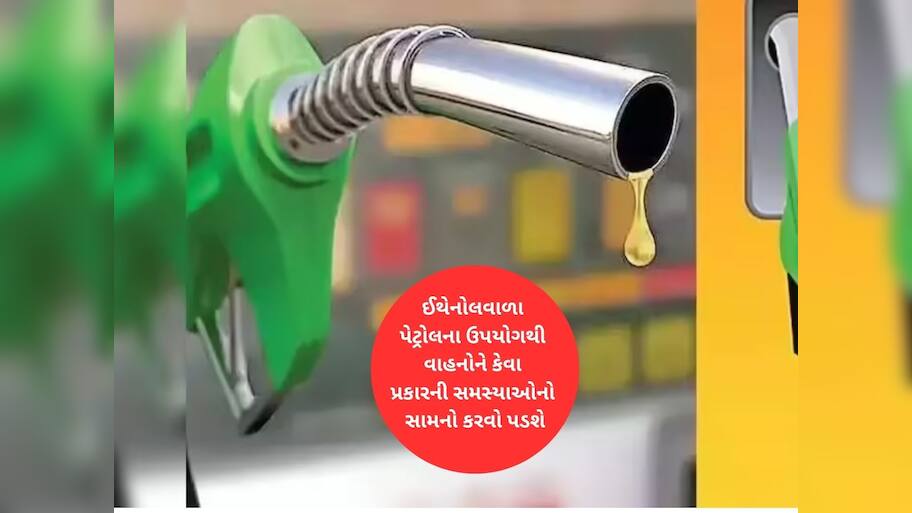 શું ઈથેનોલવાળા પેટ્રોલથી ગાડીનું પરર્ફોમન્સ અને માઈલેજ ઘટશે? નિષ્ણાતોએ જણાવી કામની માહિતી 
