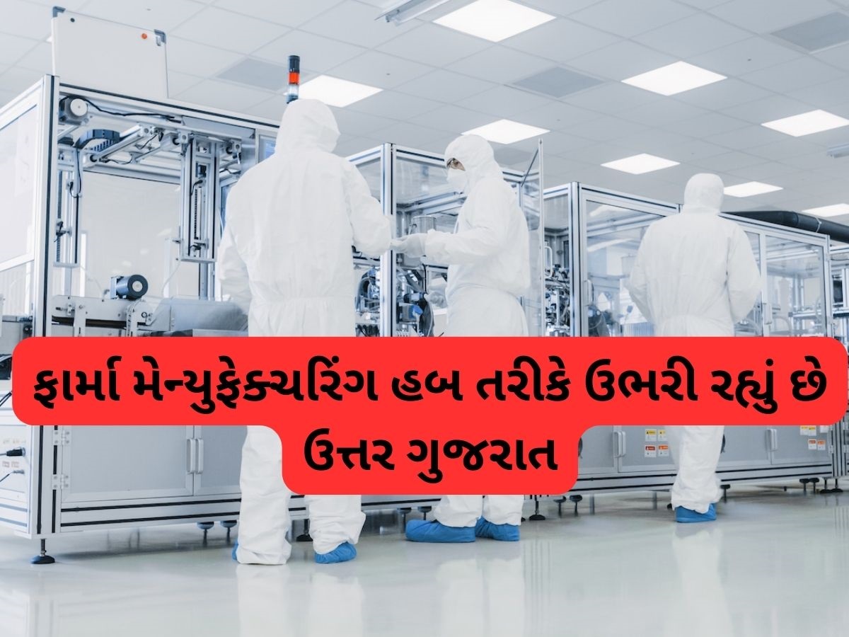 ગુજરાતના ફાર્માસ્યુટિકલ્સ ઉત્પાદનમાં ઉત્તર ગુજરાતનો ફાળો 12%, બની રહ્યું છે ફાર્મા મેન્યુફેક્ચરિંગનું હબ ગુજરાતના ફાર્માસ્યુટિકલ્સ ઉત્પાદનમાં ઉત્તર ગુજરાતનો ફાળો 12%, બની રહ્યું છે ફાર્મા મેન્યુફેક્ચરિંગનું હબ