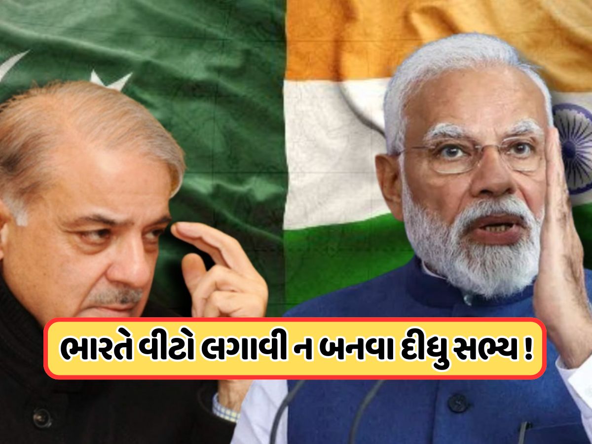 ભારતે પાકિસ્તાનના 'મિત્ર'નો ઉતાર્યું ઘમંડ, કર્યું એવું કામ કે SCOનો સભ્ય ન બની શક્યો આ દેશ ! ભારતે પાકિસ્તાનના 'મિત્ર'નો ઉતાર્યું ઘમંડ, કર્યું એવું કામ કે SCOનો સભ્ય ન બની શક્યો આ દેશ !