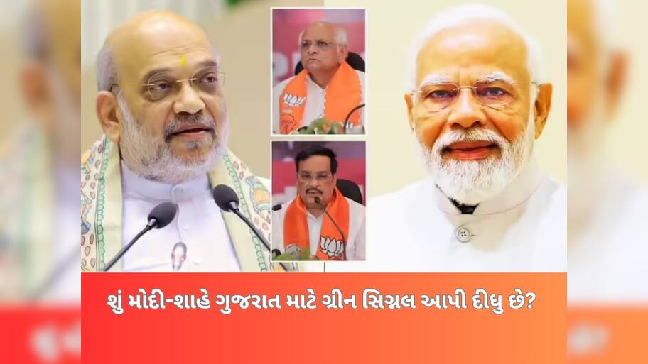મોદી-શાહની મુલાકાત બાદ કયા મંત્રી ખુરશી ખતરામાં? પાટીલનું સ્થાન કોણ લેશે? ભાજપમાં નવો ગણગણાટ શરૂ 