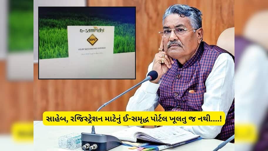 સરકારે મોટા ઉપાડે ટેકાના ભાવે ખરીદીની જાહેરાત તો કરી, પણ હવે ઓનલાઈન પોર્ટલ ખૂલતુ નથી