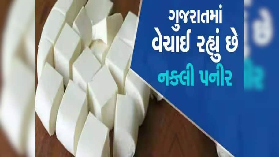 ગુજરાતમાં આવતું 92 ટકા પનીર ડુપ્લિકેટ? મીઠાઈ-ફરસાણ એસોસિએશનના પ્રમુખનો જ મોટો ઘટસ્ફોટ