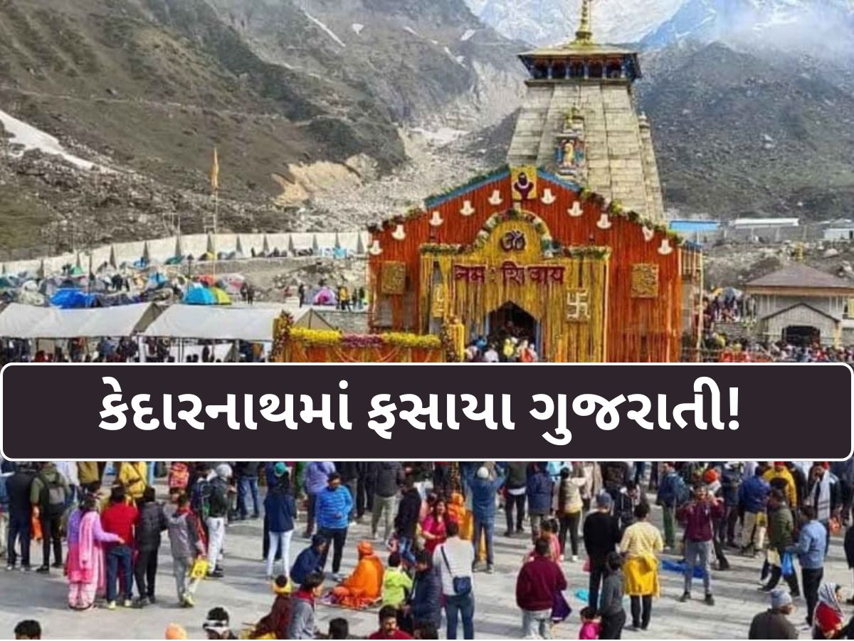 રાજકોટથી કેદારનાથ ગયેલા સૌરાષ્ટ્રના 47 શ્રદ્ધાળુઓ ફસાયા, સામે આવ્યાં સૌથી મોટા સમાચાર રાજકોટથી કેદારનાથ ગયેલા સૌરાષ્ટ્રના 47 શ્રદ્ધાળુઓ ફસાયા, સામે આવ્યાં સૌથી મોટા સમાચાર