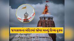 ભગવાન જગન્નાથના મંદિરમાં જોવા મળ્યું દિવ્ય દૃશ્ય, પતિતપાવન ધજા પર આવીને બેઠું ગરુડ