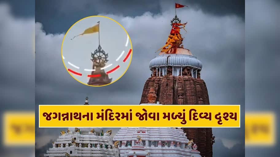 ભગવાન જગન્નાથના મંદિરમાં જોવા મળ્યું દિવ્ય દૃશ્ય, પતિતપાવન ધજા પર આવીને બેઠું ગરુડ, આ શુભ છે કે અશુભ ?