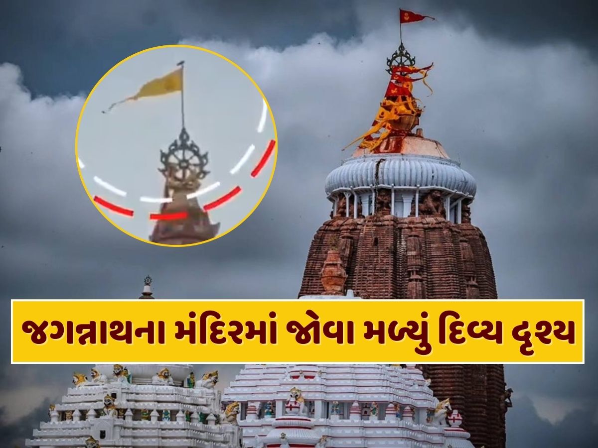 ભગવાન જગન્નાથના મંદિરમાં જોવા મળ્યું દિવ્ય દૃશ્ય, પતિતપાવન ધજા પર આવીને બેઠું ગરુડ, આ શુભ છે કે અશુભ ? ભગવાન જગન્નાથના મંદિરમાં જોવા મળ્યું દિવ્ય દૃશ્ય, પતિતપાવન ધજા પર આવીને બેઠું ગરુડ, આ શુભ છે કે અશુભ ?