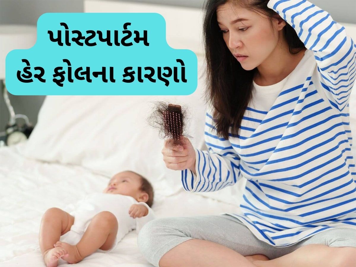 Hair Fall: ડિલીવરી પછી શા માટે ખરવા લાગે છે વાળ ? જાણો કારણ અને તેનો ઈલાજ Hair Fall: ડિલીવરી પછી શા માટે ખરવા લાગે છે વાળ ? જાણો કારણ અને તેનો ઈલાજ