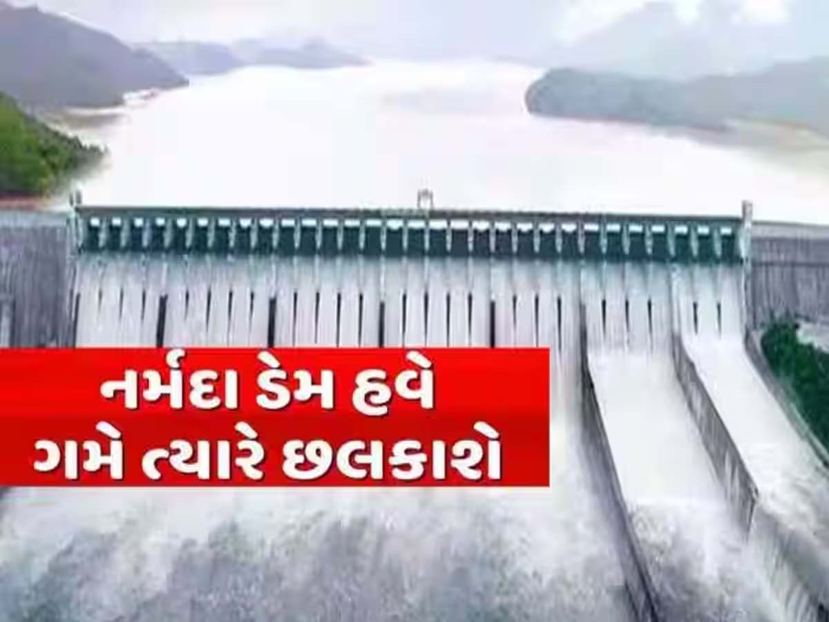 નર્મદાના સરદાર સરોવર ડેમની સપાટીમાં સતત વધારો; 15 દરવાજા ખોલીને છોડાઈ રહ્યું છે પાણી, અનેક ગામો એલર્ટ નર્મદાના સરદાર સરોવર ડેમની સપાટીમાં સતત વધારો; 15 દરવાજા ખોલીને છોડાઈ રહ્યું છે પાણી, અનેક ગામો એલર્ટ